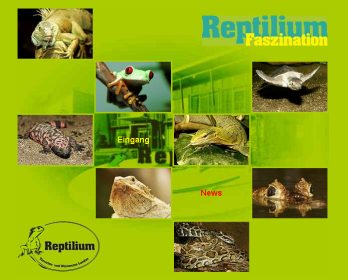Reptilium: Terrarien- und Wüstenzoo in Landau